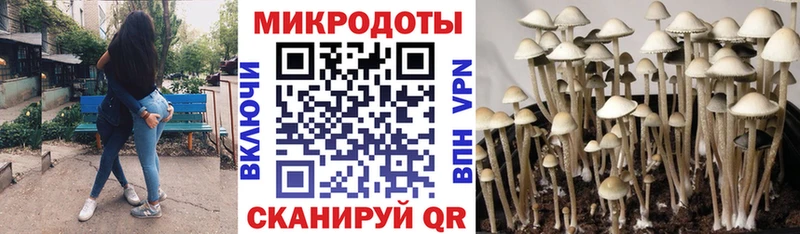 Галлюциногенные грибы GOLDEN TEACHER  Юхнов 