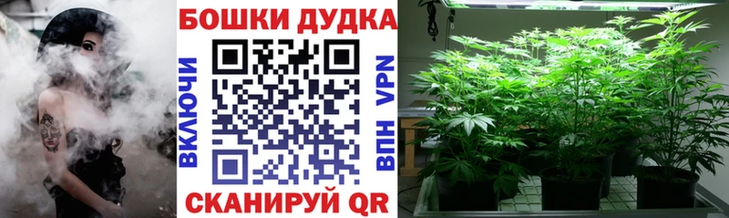ссылка на мегу ссылка  Юхнов  Бошки марихуана план  где купить  